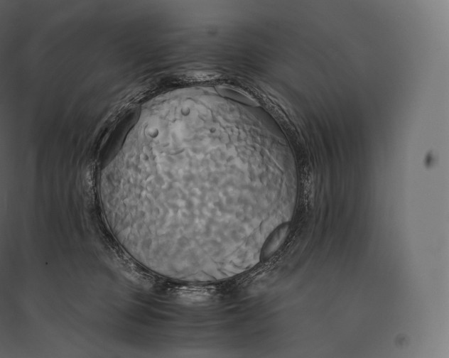 X0000094370373200711242005