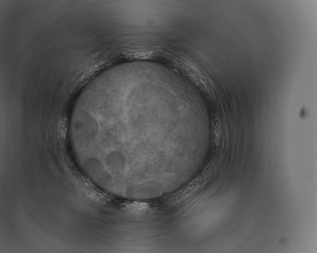 X0000094370374200711242005