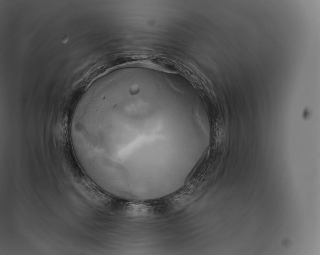 X0000094370376200711242005