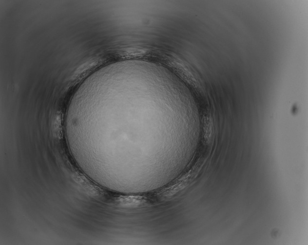 X0000094370378200711242005