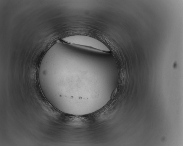 X0000094370379200711242005