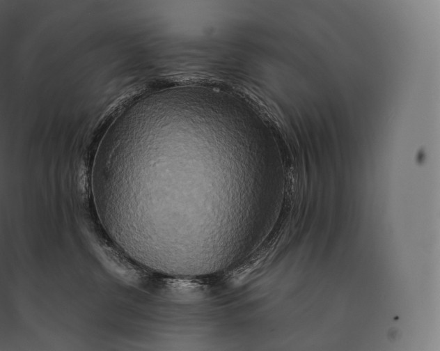 X0000094370380200711242005