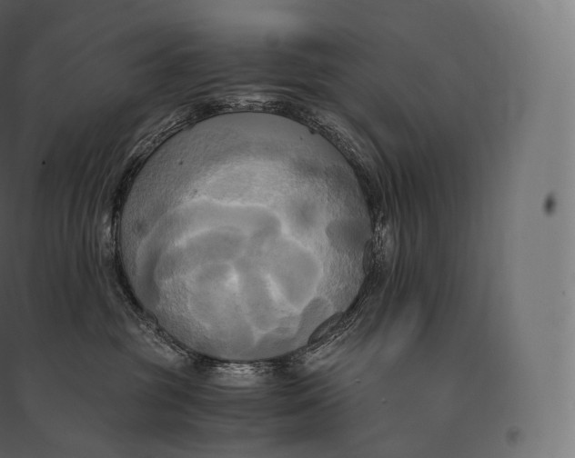 X0000094370381200711242005