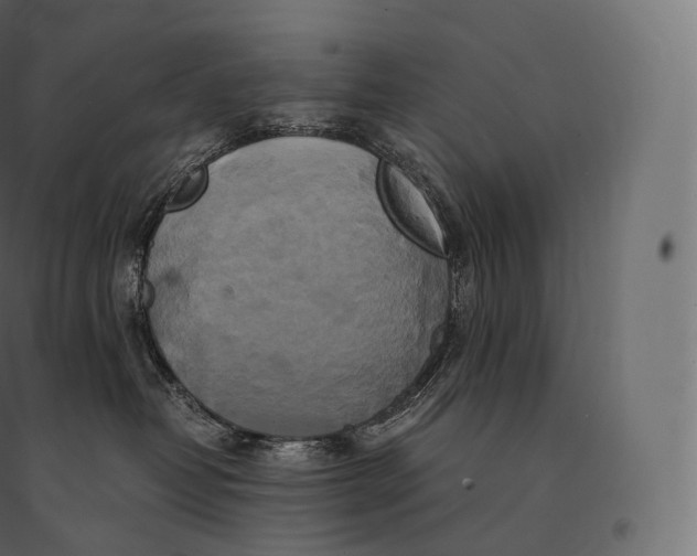 X0000094370382200711242005