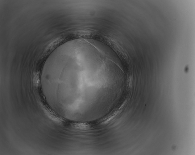 X0000094370383200711242005