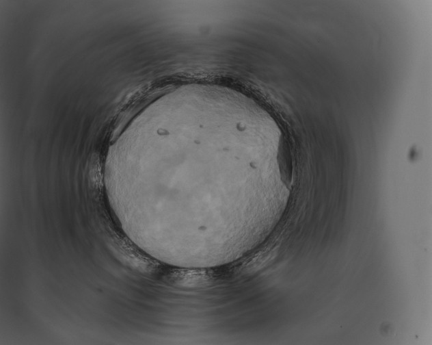 X0000094370384200711242005