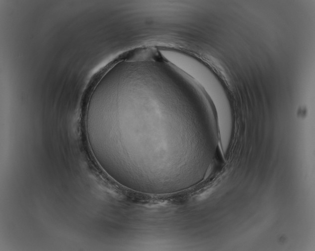 X0000094370388200711242004