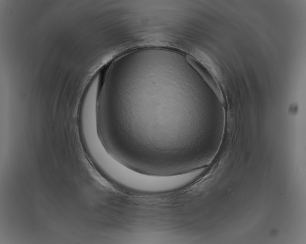 X0000094370389200711242004