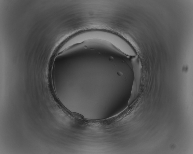 X0000094370391200711242004