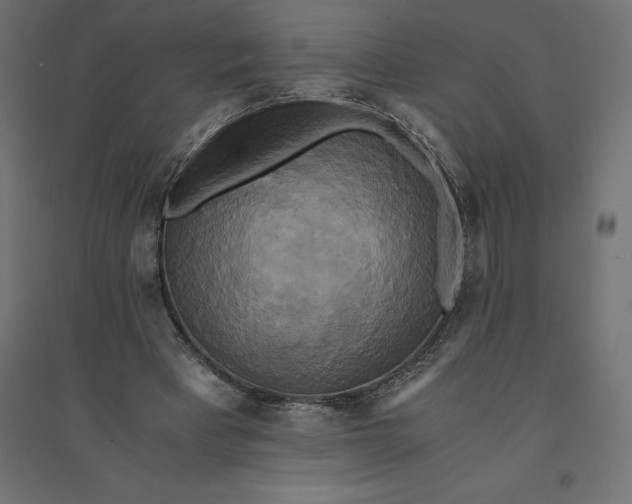 X0000094370393200711242004