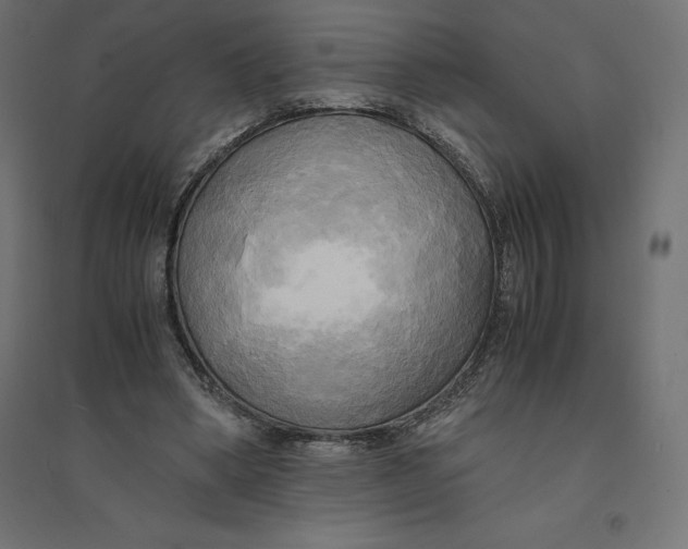 X0000094370394200711242004