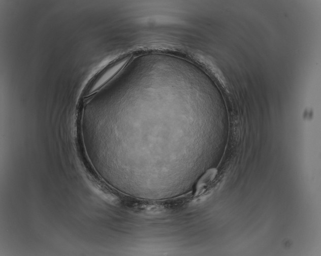 X0000094370395200711242004