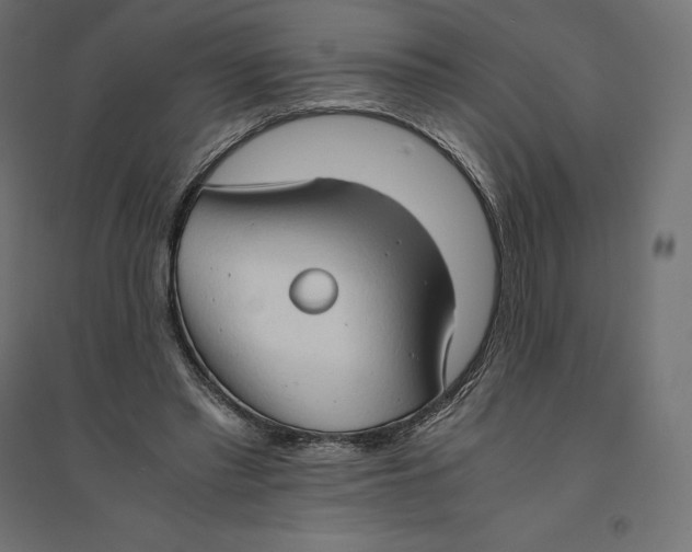 X0000094370397200711242004