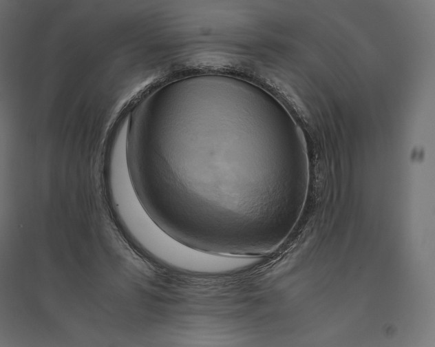 X0000094370399200711242004