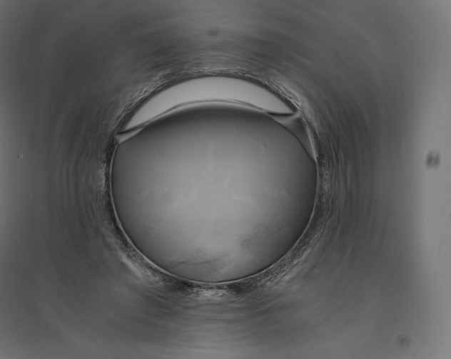 X0000094370401200711242004