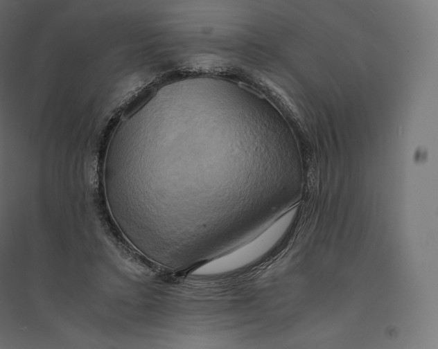 X0000094370403200711242004