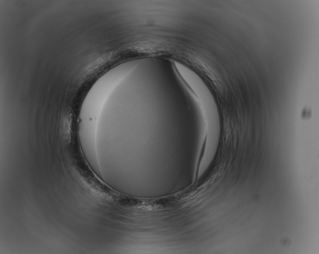 X0000094370404200711242004