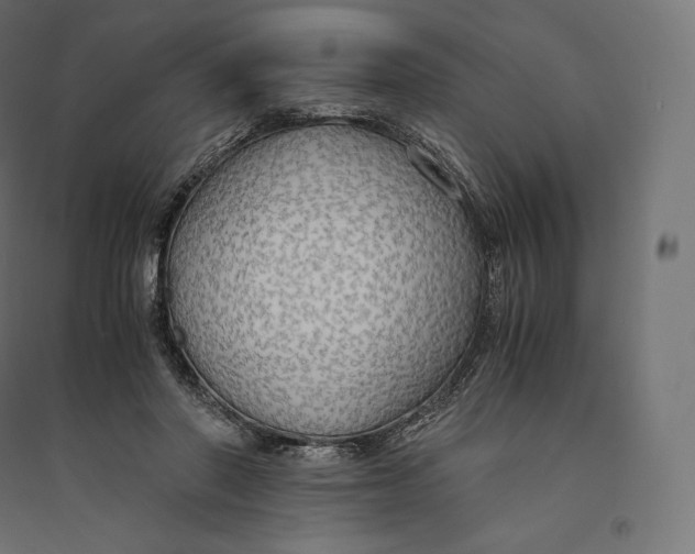 X0000094370406200711242004