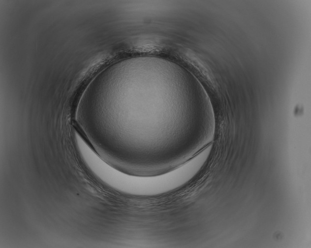 X0000094370407200711242004