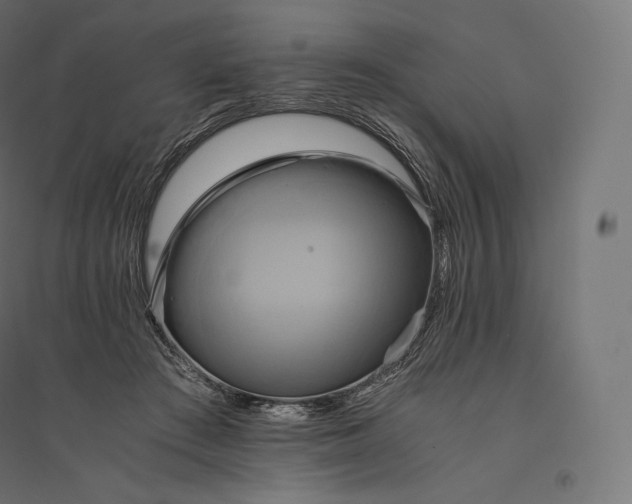 X0000094370409200711242004