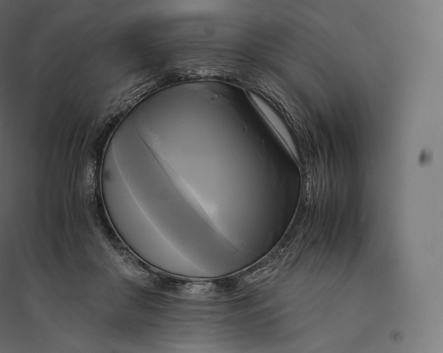 X0000094370410200711242004