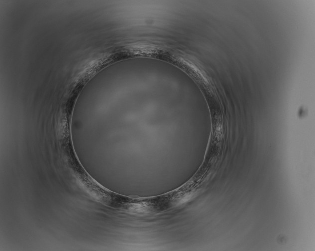 X0000094370411200711242004