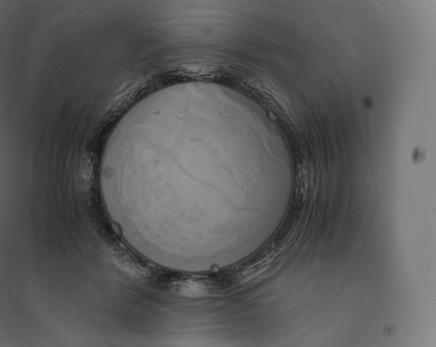 X0000094370412200711242004