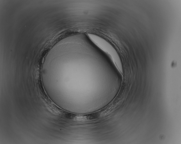 X0000094370413200711242004