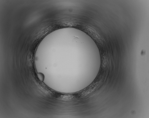 X0000094370414200711242004