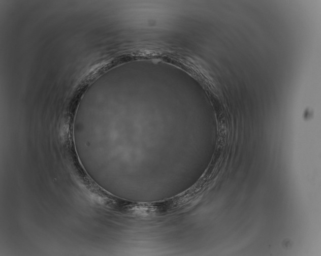 X0000094370415200711242004