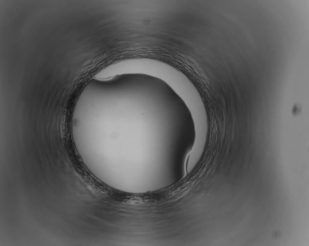 X0000094370416200711242004