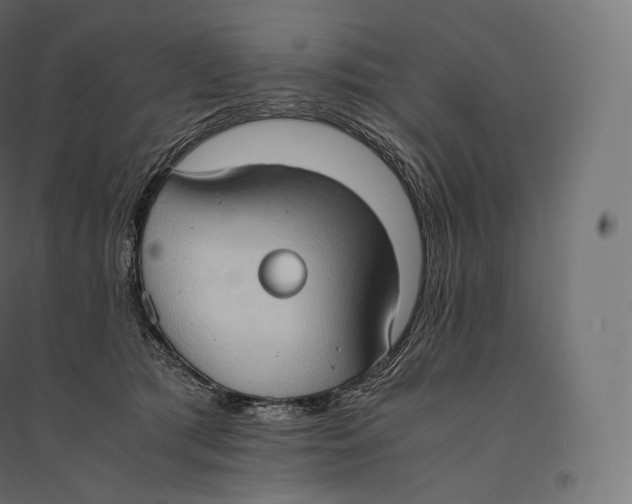 X0000094370417200711242004