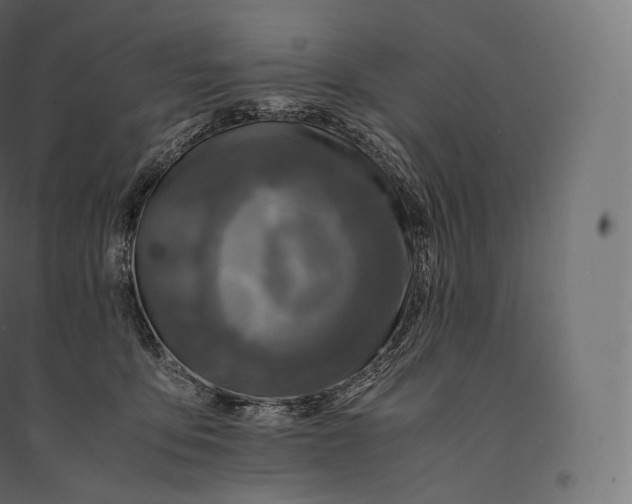 X0000094370419200711242004