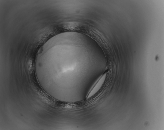 X0000094370420200711242004