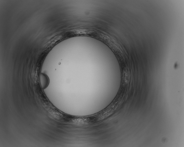 X0000094370422200711242004