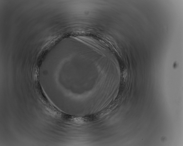 X0000094370423200711242004