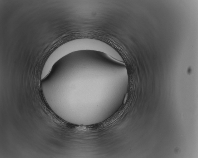 X0000094370425200711242004