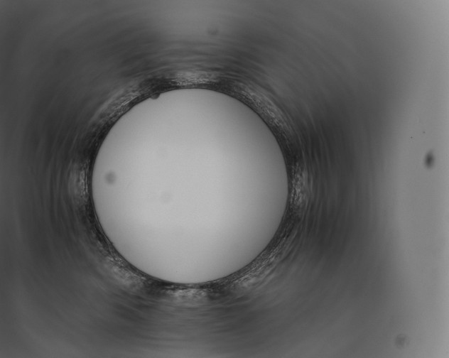 X0000094370426200711242004