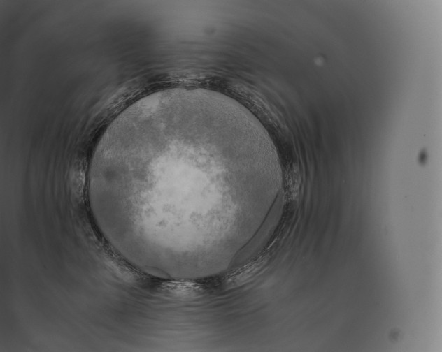 X0000094370427200711242004