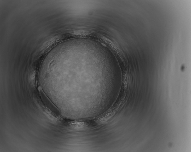 X0000094370428200711242004