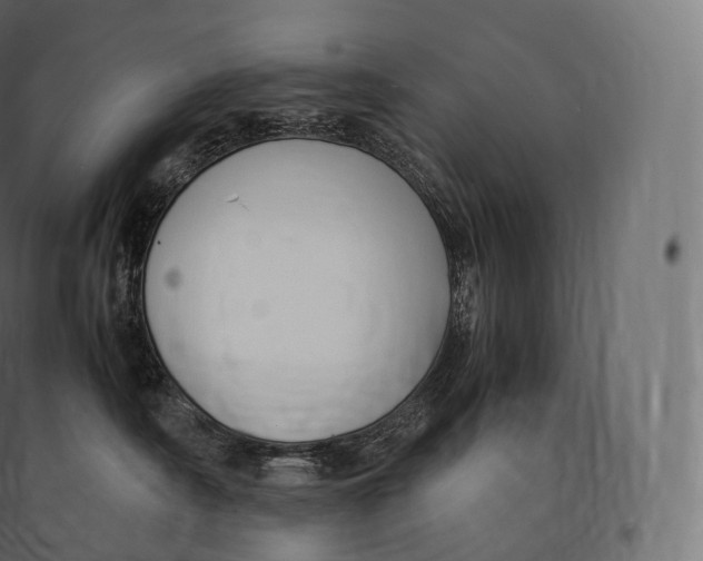 X0000094370430200711242004