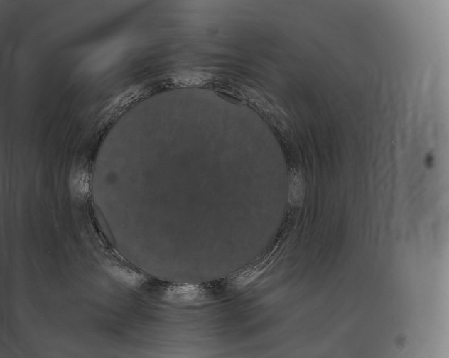 X0000094370431200711242004