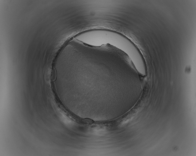 X0000094370434200711242003