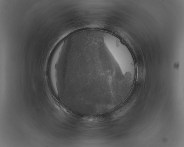 X0000094370435200711242003