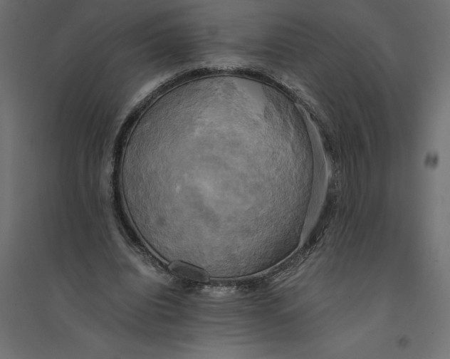 X0000094370440200711242003