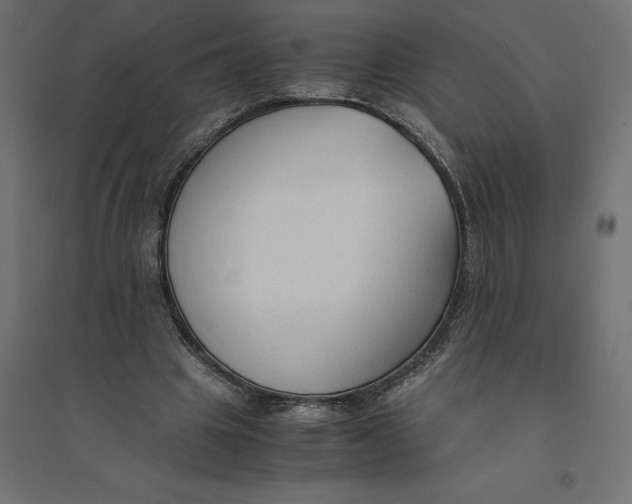 X0000094370441200711242003