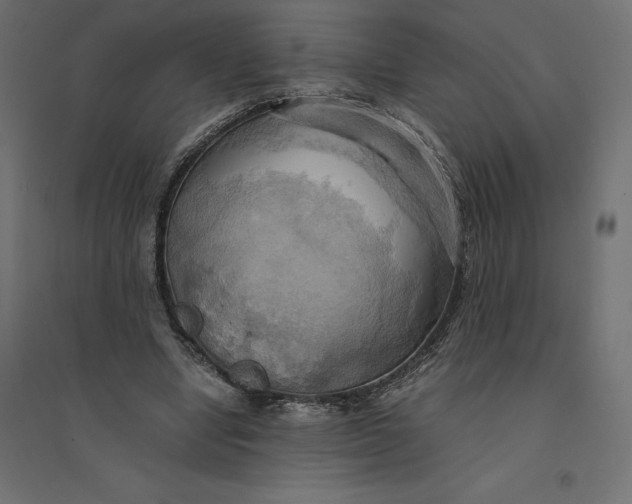 X0000094370442200711242003