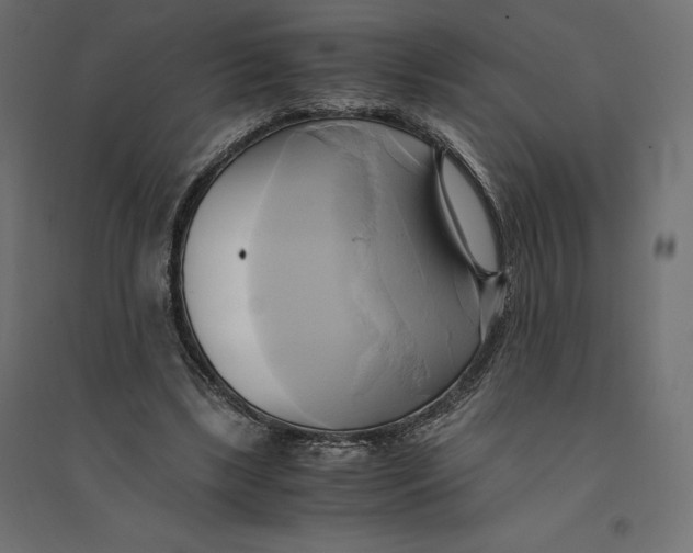 X0000094370443200711242003