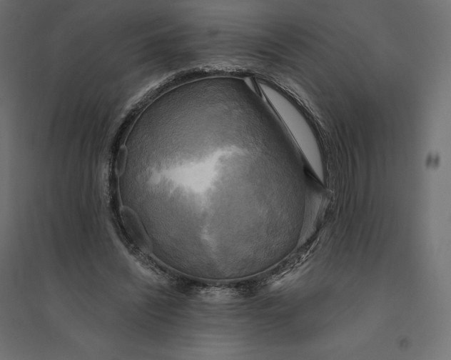 X0000094370444200711242003