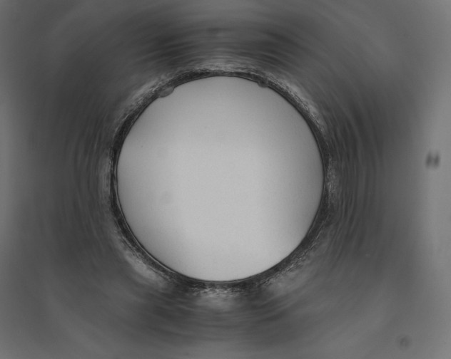 X0000094370445200711242003